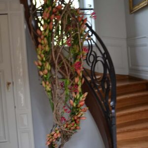 Concours Château de Belœil 2018