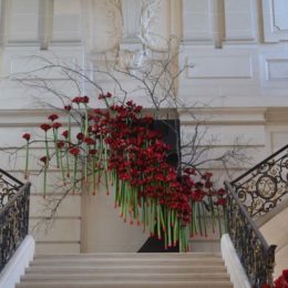 Concours Château de Belœil 2019