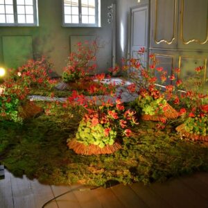 Fleurs des Dames - Chateau d'Ursel