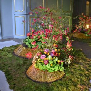 Fleurs des Dames - Chateau d'Ursel