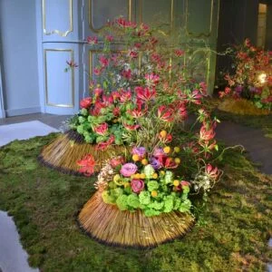 Fleurs des Dames - Chateau d'Ursel