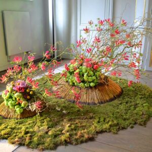 Fleurs des Dames - Chateau d'Ursel