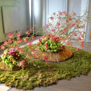 Fleurs des Dames - Chateau d'Ursel