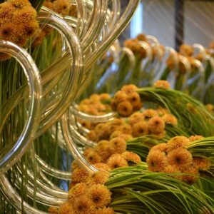 Exposition Flower&Crystal - Val Saint Lambert