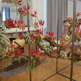 Fête de jardin - Chevetogne 2019