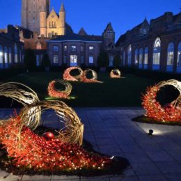 Winter moment - Bruges 2017